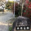 本能 - トップ画像