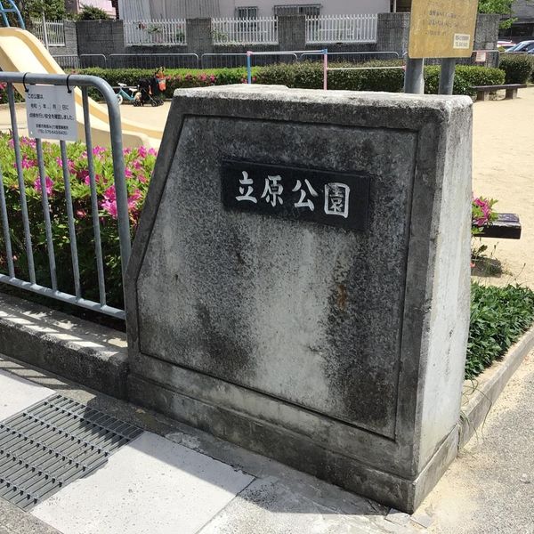 立原 - おすすめ画像