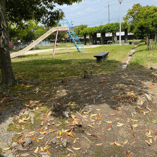 丸町 - トップ画像