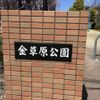 金草原公園 - トップ画像