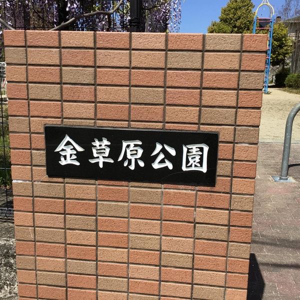 金草原公園 - おすすめ画像