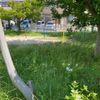 熊小路児童公園 - トップ画像
