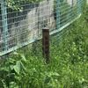 莵道河原児童公園 - トップ画像