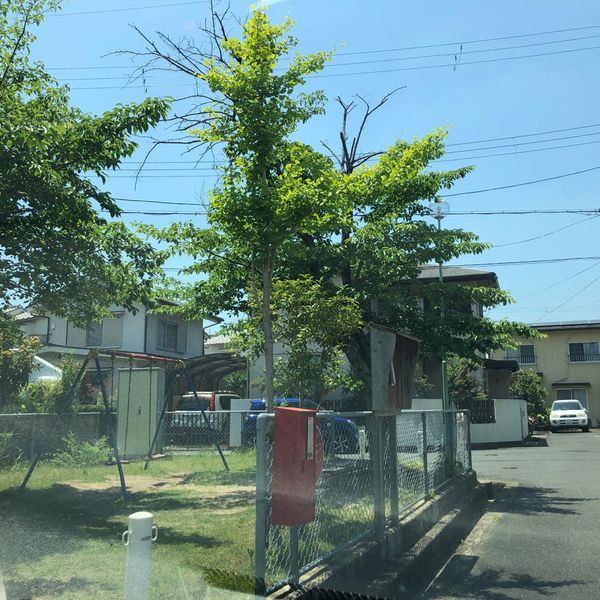 五島第1幼児公園 - おすすめ画像