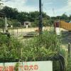 青池公園 - トップ画像