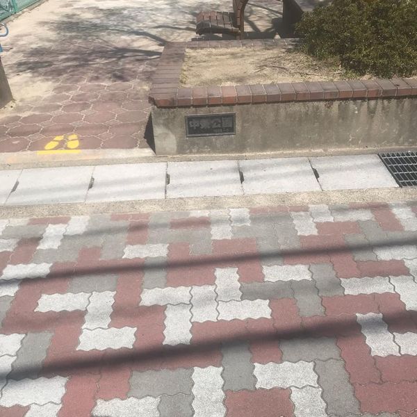 中条公園 - おすすめ画像