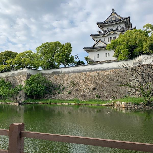 千亀利公園 - おすすめ画像