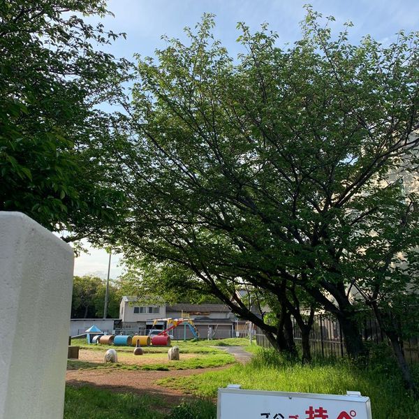 浜公園 - おすすめ画像