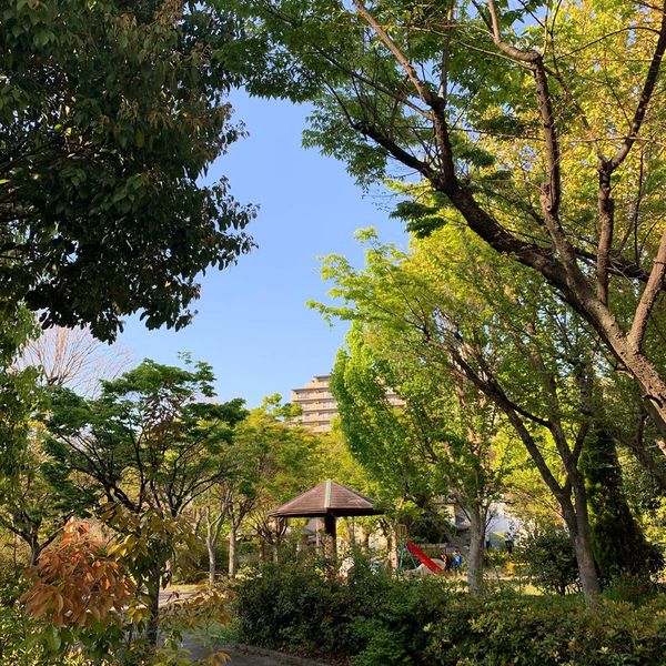 城南公園 - おすすめ画像