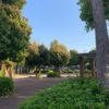 天神山ｷﾘﾝ公園 - トップ画像
