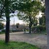天神山ｸﾏ公園 - トップ画像