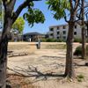 下池田公園 - トップ画像
