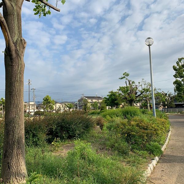 南公園 - おすすめ画像