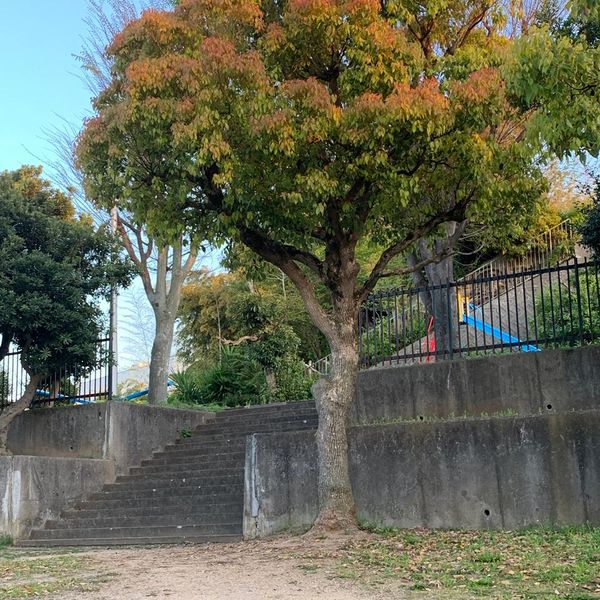 桜台公園 - おすすめ画像