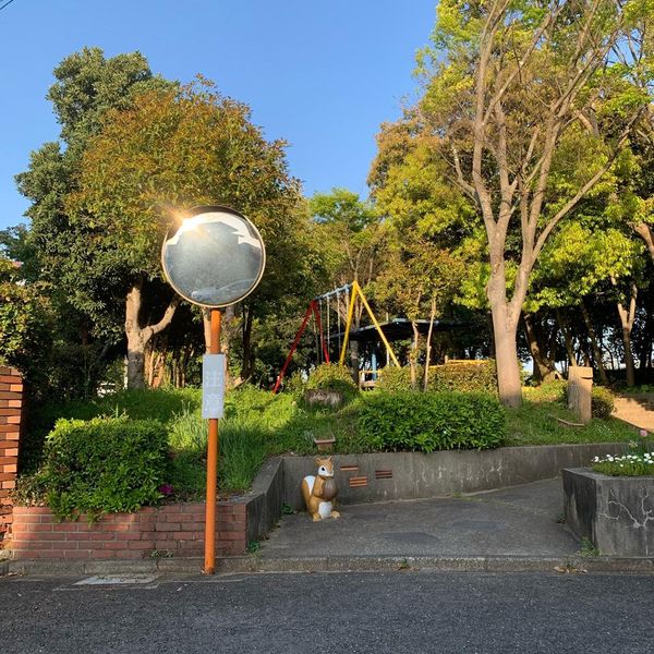 天神山りす公園 - おすすめ画像