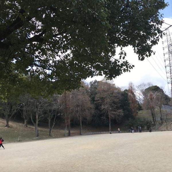 佐井寺新池公園 - おすすめ画像