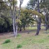 藤白公園 - トップ画像