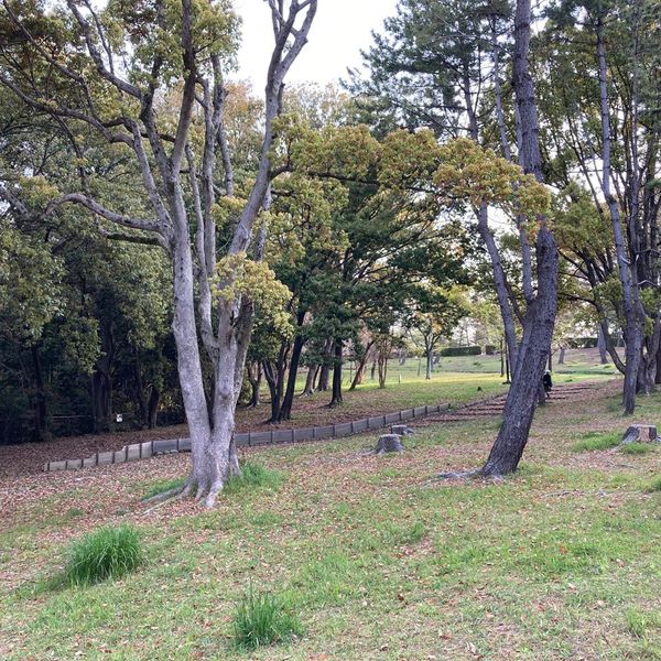藤白公園 - おすすめ画像