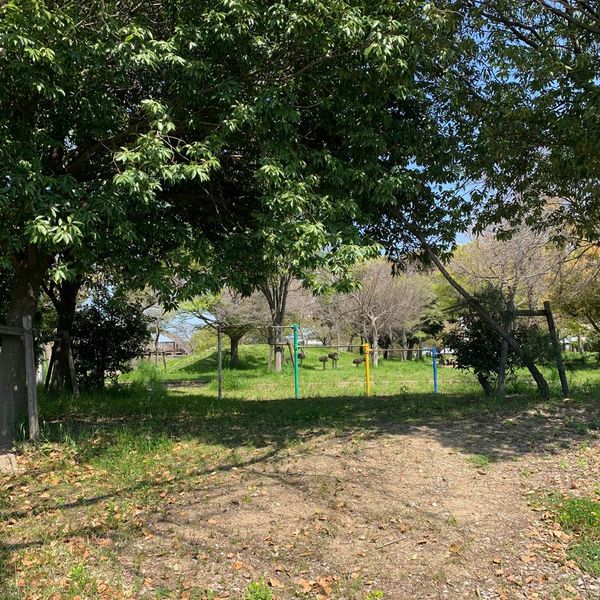 板原公園 - おすすめ画像