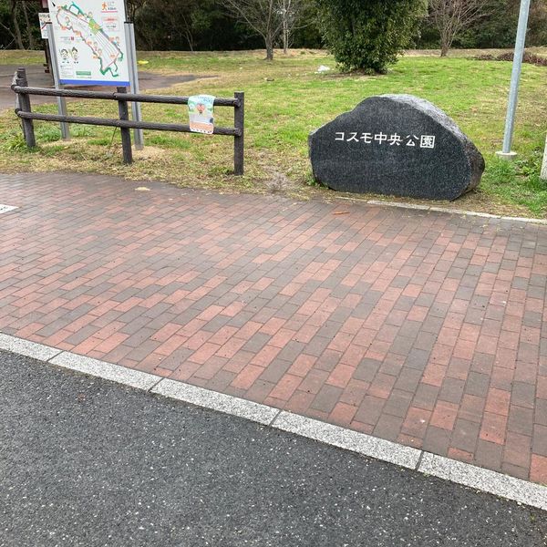 コスモ中央公園 - トップ画像