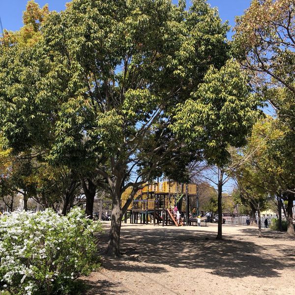 あらきの森公園 - トップ画像