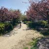 広田山北公園 - トップ画像