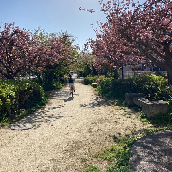 広田山北公園 - おすすめ画像