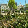 与古道公園 - トップ画像