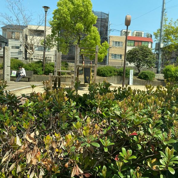与古道公園 - おすすめ画像