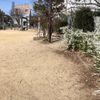 若山はちまん公園 - トップ画像