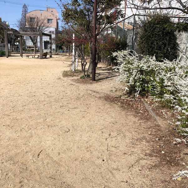 若山はちまん公園 - おすすめ画像