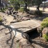 高木公園 - トップ画像