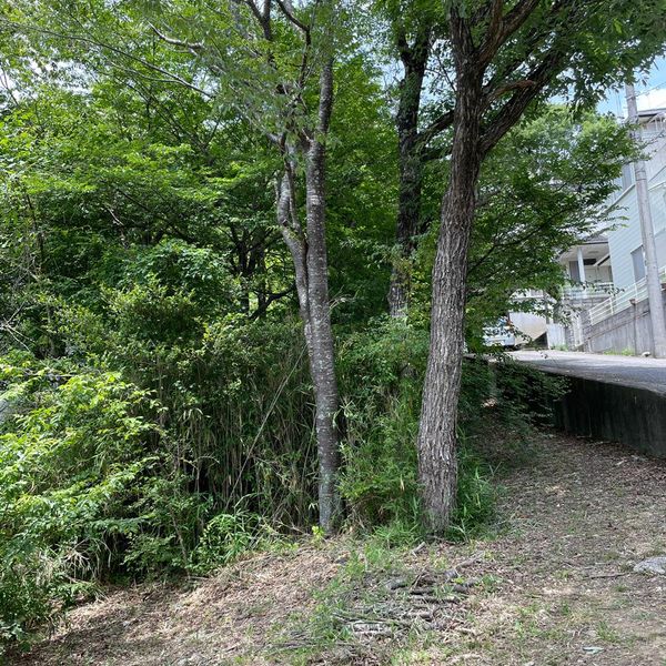 飯盛山公園 - トップ画像