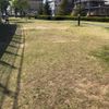 時の広場 - トップ画像
