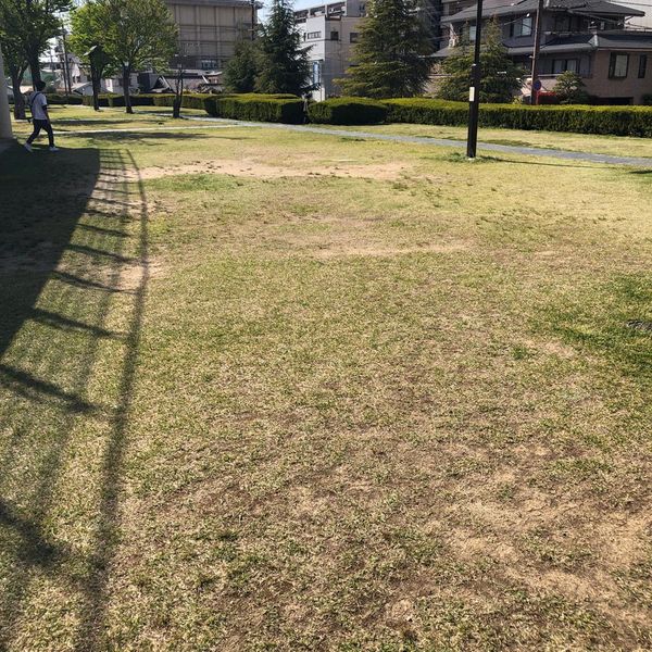時の広場 - おすすめ画像
