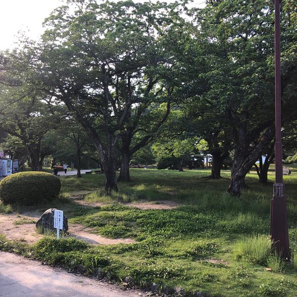 徳島中央公園 - トップ画像