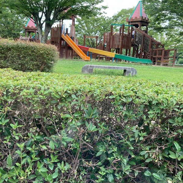 井原堤水辺公園 - おすすめ画像