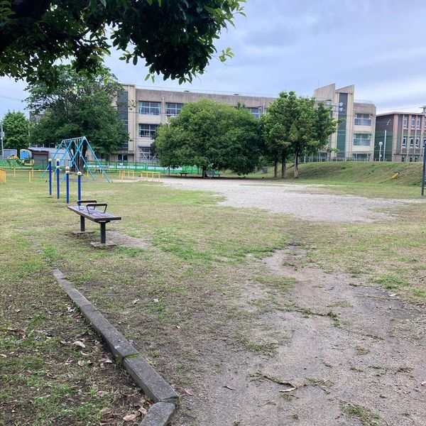 新屋敷公園 - トップ画像