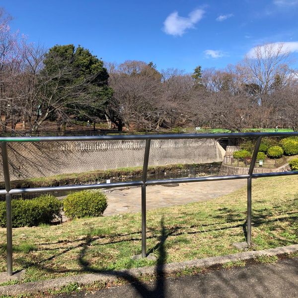 祖師谷公園 親水テラス - トップ画像