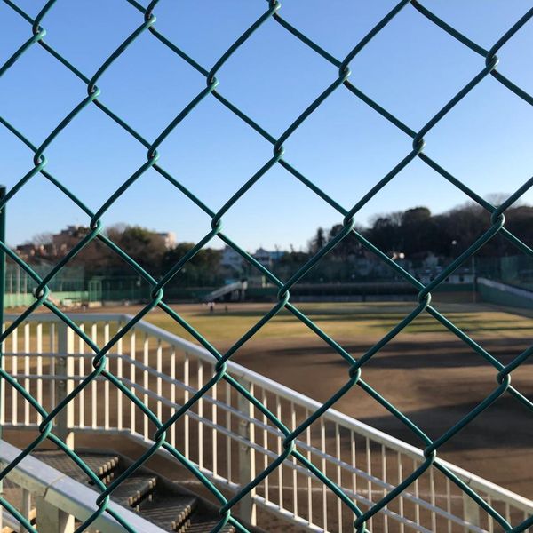 和田堀公園 区営野球場 - トップ画像