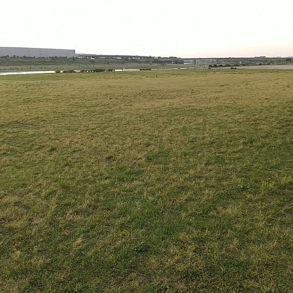 相模三川公園 芝生広場 - トップ画像