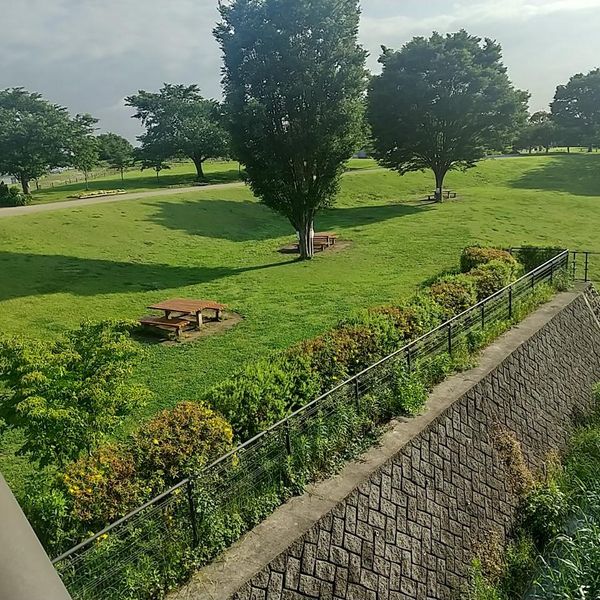 相模三川公園 多目的グラウンド - トップ画像