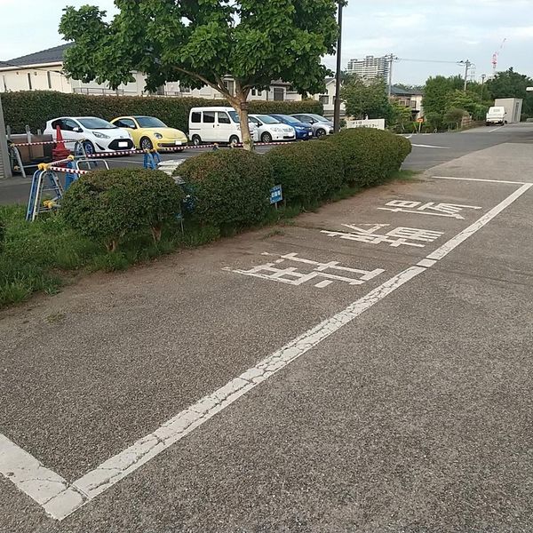 相模三川公園 イングリッシュガーデン - トップ画像