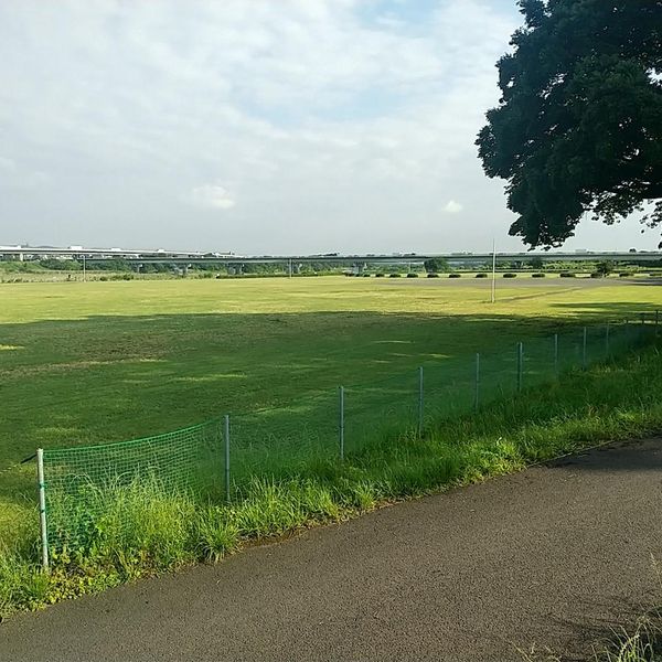 相模三川公園 スポーツ広場駐車場 - トップ画像