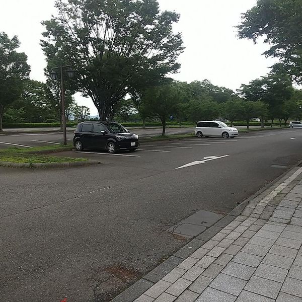 相模原公園 中央駐車場 - トップ画像