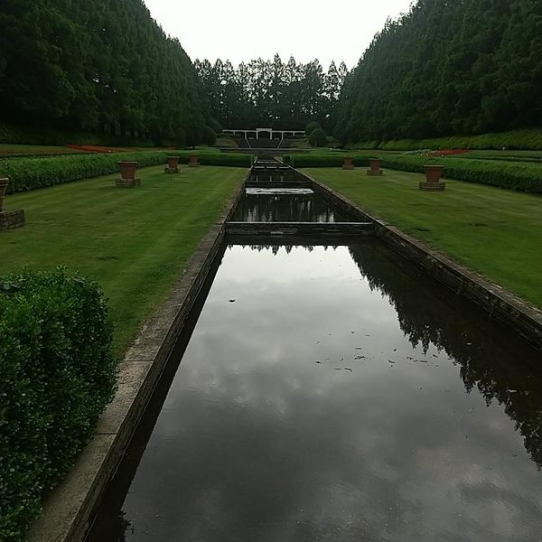 相模原公園 フランス式庭園 - トップ画像