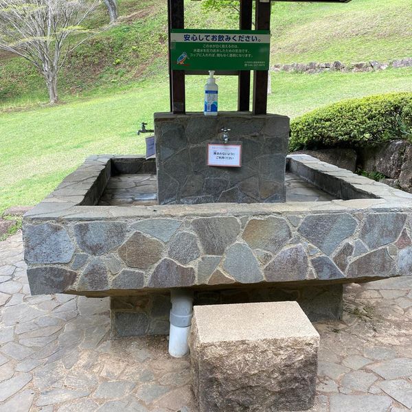 七沢森林公園 ピクニック広場 - トップ画像