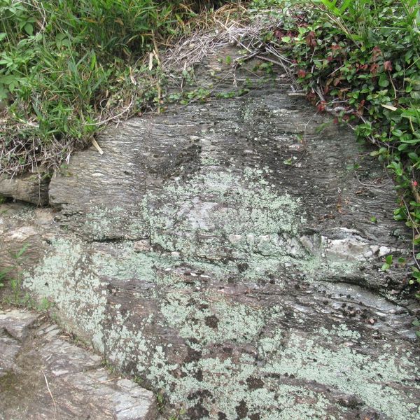 寛保洪水位磨崖標 (荒川大洪水から4日間)) - おすすめ画像