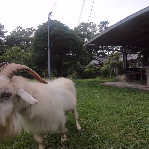 月川荘キャンプ場 - おすすめ画像