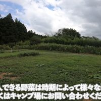 富士ヶ嶺おいしいキャンプ場 - 投稿画像1